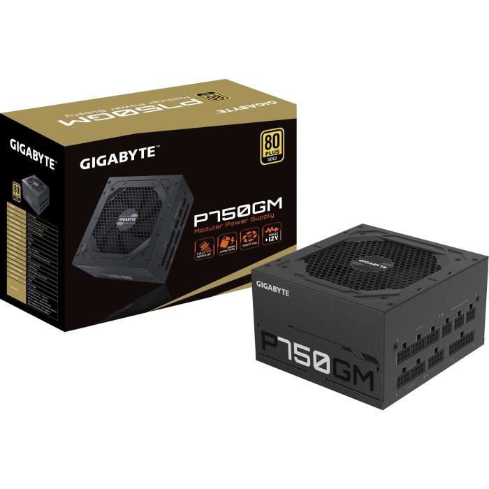 Alimentation GigaByte ATX 750W 80 Plus Gold P750GM – Image 2